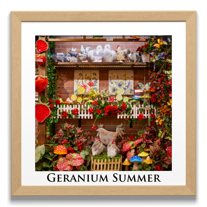 Geranium Summer