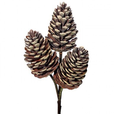 Set of 24: Natural Brown Lacquered Pine Cone Picks