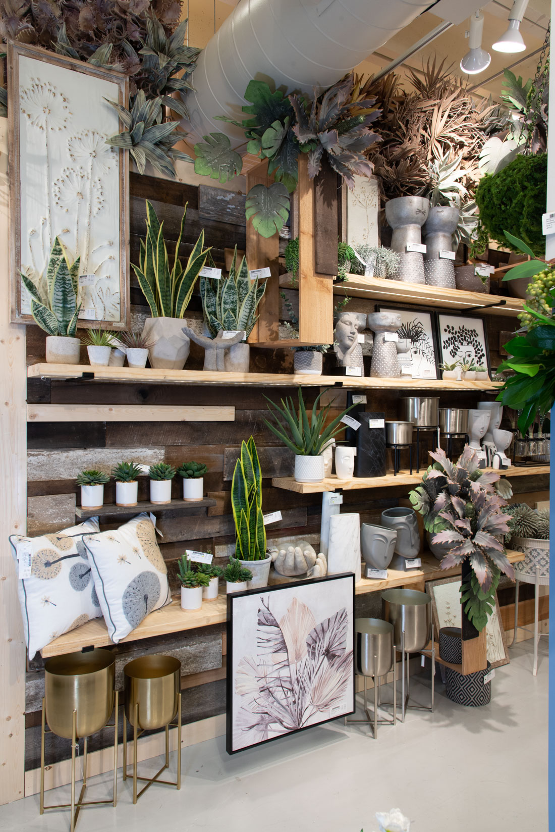 Showroom Organic Botanical - Human Touch